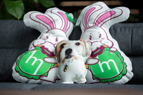 Custom shape Plush Pillow Case - 31x31